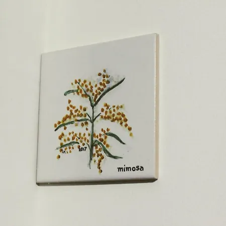 Casa de hóspedes Huga Lamego