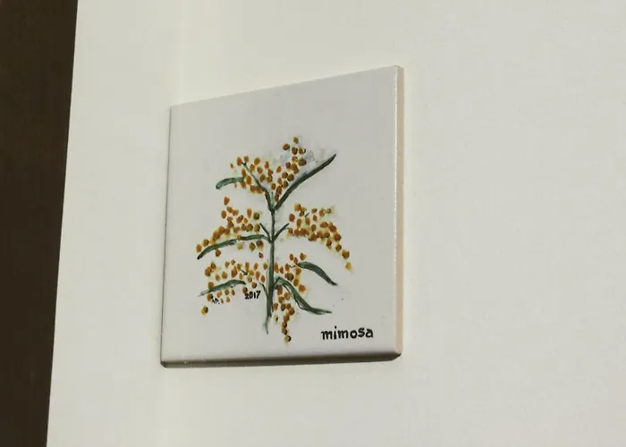 Guest house Huga Lamego